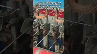 Amazing High Speed Industrial Wire Mesh Welding Machine
