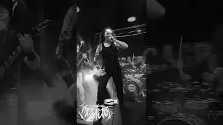 Mortetor en vivo