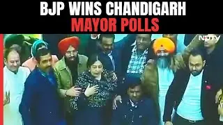 BJP Wins Chandigarh Mayor Elections In First Poll Battle Versus INDIA Bloc