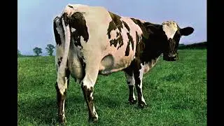 Wesk - Atom Heart Mother [Pink Floyd cover]