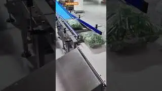 Fried Green Peas Packing Machine #packingmachine #vffspackingmachine #vffs #fillingmachine
