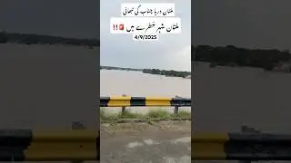 🌊 Multan Chenab River High Flood 2025 | Multan 🚨 #youtubeshorts #shorts #flood2025