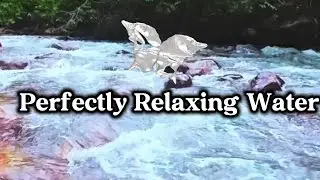 Perfectly Relaxing Water