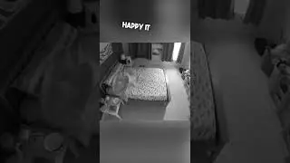 Собака делает мальчика с аутизмом счастливым ❤️