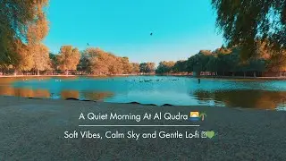 Morning Calm at Al Qudra 🦆✨ | 1 Hour of Dubai Lo-Fi Chill for Focus & Relaxation