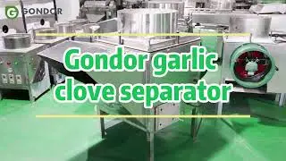 Gondor Horizontal Garlic Splitting Separator &ndash; High-Efficiency Garlic Processing 🌱🧄