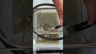 In a few easy steps, the Sediment Buster does wonders for your water heater 🤩🙌 #plumbingtime 