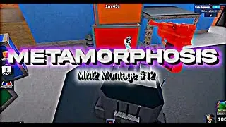 Metamorphosis