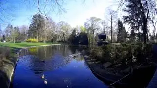 Camera test footage with 