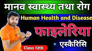फाइलेरिया 