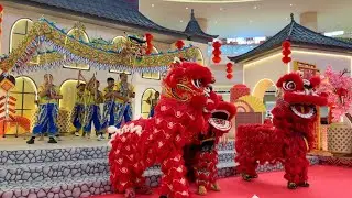 CNY 2026 | CLOSE UP Dragon and Lion Dance at Mall @ Alsut | Barongsai and Liong