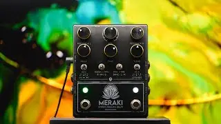 Walrus se SURPASSE | Walrus Audio Meraki
