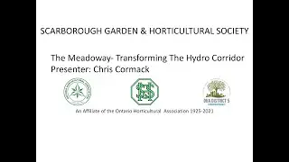 The Meadoway  Transforming The Hydro Corridor