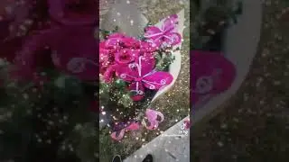 Fuchsia Roses Wrapped with Butterflies