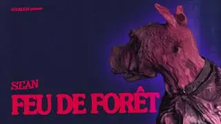 sean - FEU DE FOR&Ecirc;T