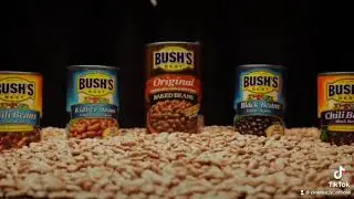 Bush’s beans contest entry