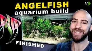 4ft ANGELFISH JUNGLE AQUARIUM BUILD: FINISHED || MD FISH TANKS