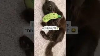 Poppy & her pickle toy 🥒😹  #CatNip #BlackCat