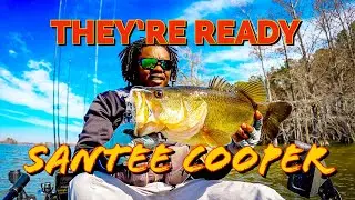 Things Are Warming Up | Santee Cooper Kayak Bass Fishing