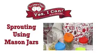 Sprouting Using Mason Jars?