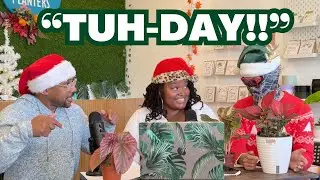 What is the hype about Begonias? | Cultivation Corner Podcast