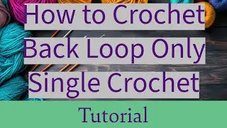 Learn How to Crochet - The Back Loop Only Single Crochet
