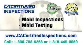 Los Angeles Mold Inspection | Los Angeles Mold Testing