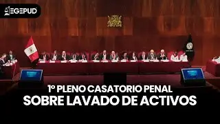 1° PLENO CASATORIO PENAL SOBRE LAVADO DE ACTIVOS