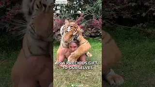 When Animals Love You ❤️ #shorts #animals #pets