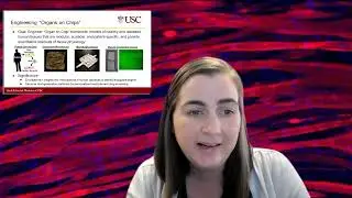 #ProfessorSpotlights2022 Dr. Megan McCain  #USC #LABEST2022