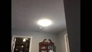 NOMA LED Flush Mount Light video review by Desiree
