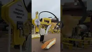 VFX поверх реального видео