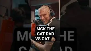 mgk, кот-папа против кота 💩, говоря банальное: &laquo;они 💩 каждый раз, когда мы пишем крутую песню&raquo;