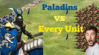 PALADINS VS EVERY UNIT ARCHER CAVALRY SCOUTS | Age Of Empires #aoe #france #empiregames