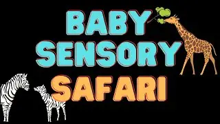 Baby Sensory High Contrast Journey Through the African Savannah: Safari Dreams | Gentle Learning