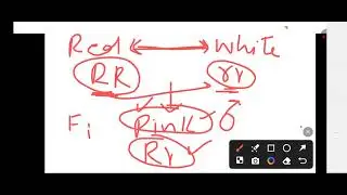 lec 4 dominance relationship