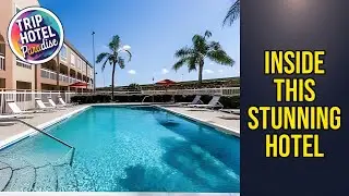 Super 8 by Wyndham Orlando Near Florida Mall - Inside This Stunning Hotel | Orlando (FL)🏩