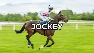 Jockey - Job Summary
