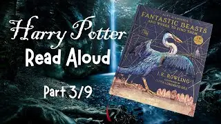 Fantastic Beasts and Where to Find Them | Dragons Part 3/9 | Gentle Dragon Exploration