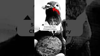 5 Animals That Changed Human History Forever | Mind-Blowing Animal Facts #shorts #animals #fyp