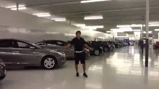 Randall Noe Indoor Showroom