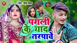 #NonStop | पगली के याद तरपावे #2025 #PrincePriya Ka Neya Gana Jukebox #Ajay Aaditya