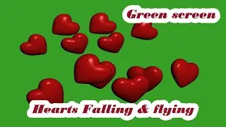 Green screen Hearts falling and flying