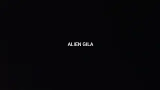 Lock Block  - Alien Gila (Official Lyric Video)