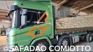5 de fevereiro de 2026