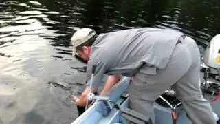 Kipawa Lake Blue Walleye