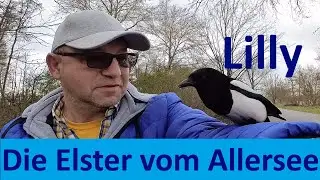 erstmalraus... an den Allersee und zur Elster Lilly
