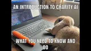 Charity AI - An Introduction To AI For Charities