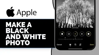 Как сделать черно-белое фото на iPhone (руководство 2025 года)