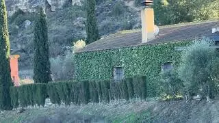 Caspe Spain 🇪🇸 Friday, 23 January 2026 at 16:49